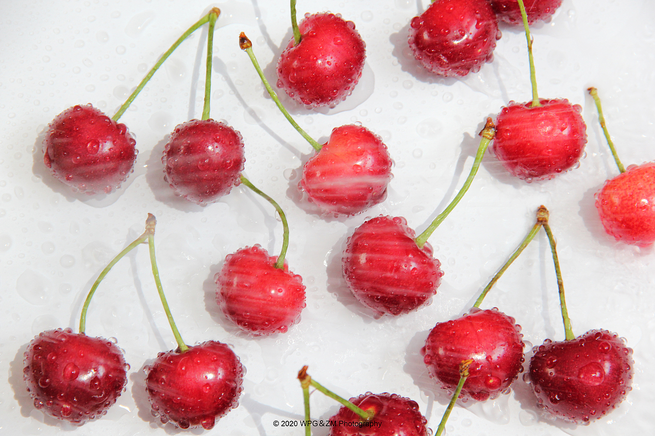 《 樱桃の夏 》