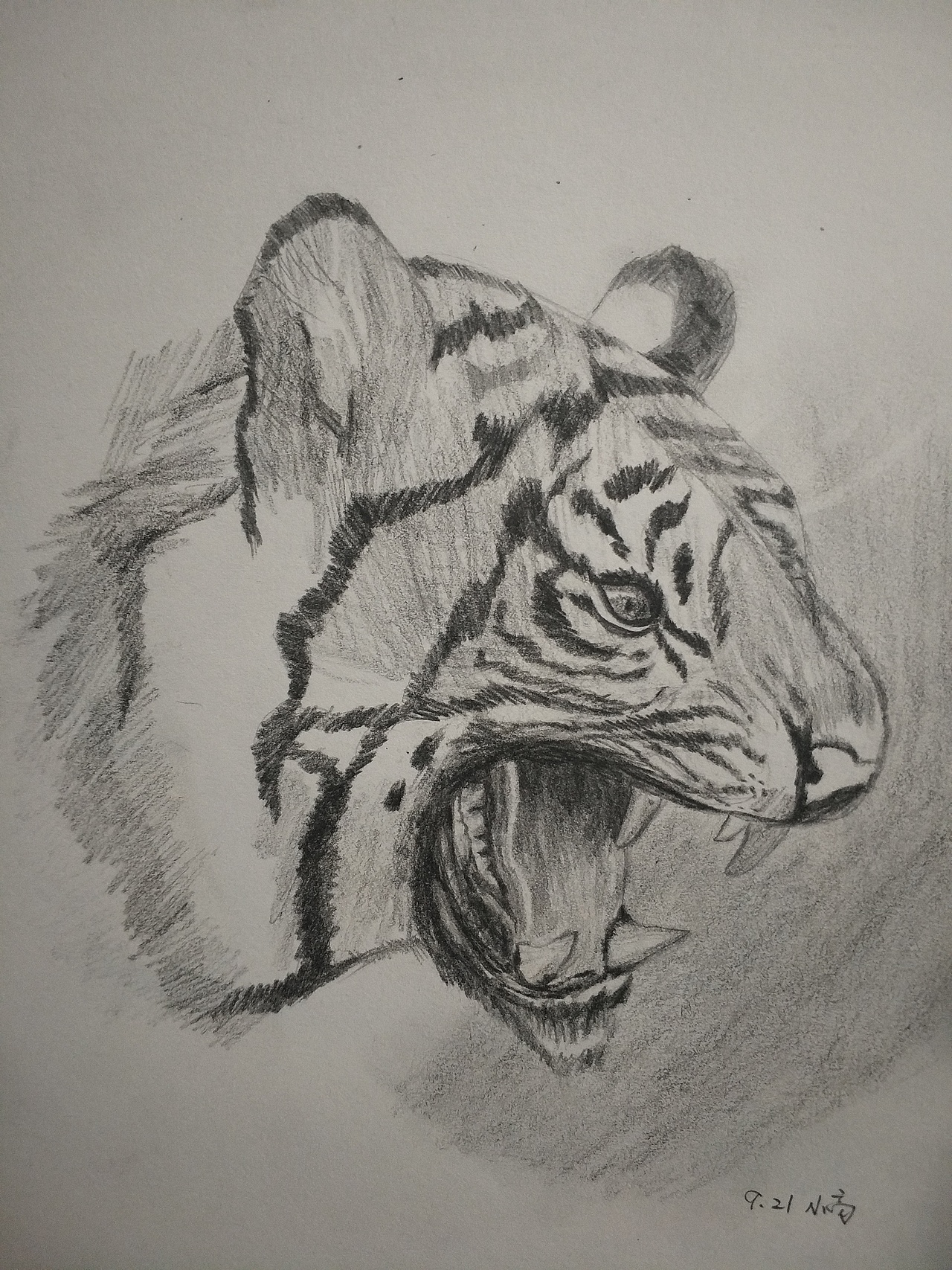 动物素描|插画|像素画|鑫七_临摹作品-站酷zcool