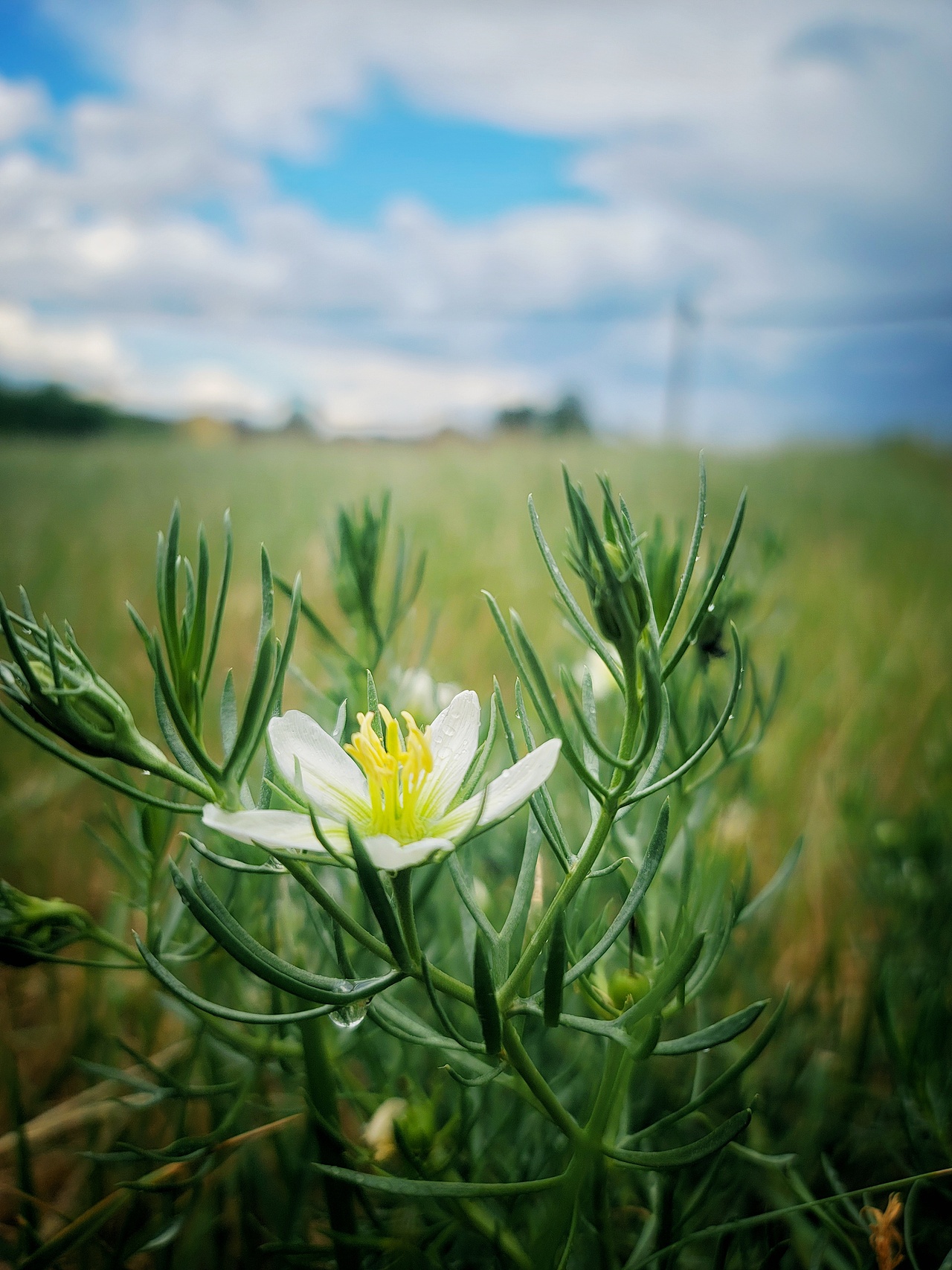 2022年生活的记录