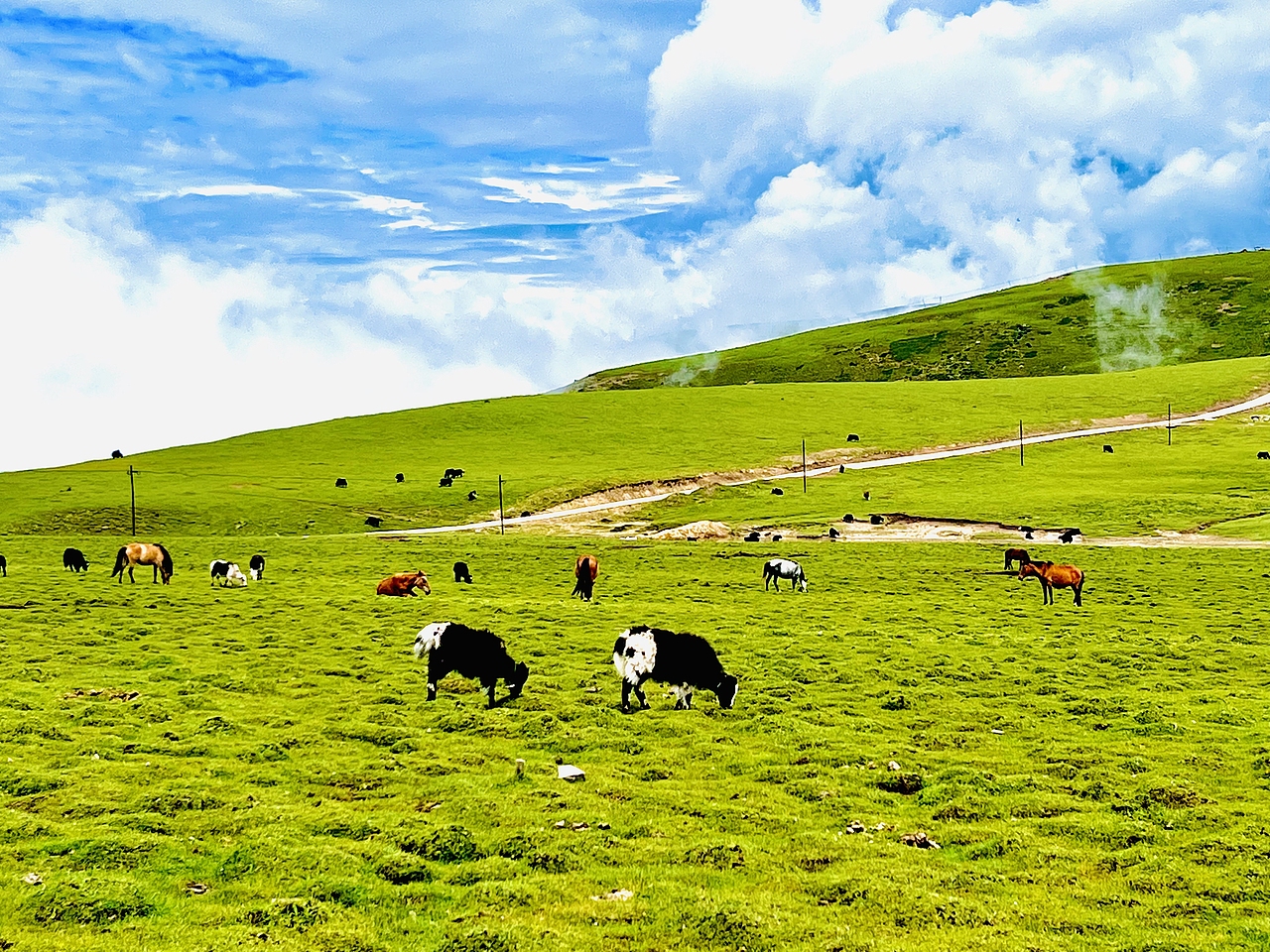 我的世界,梦中的祝福