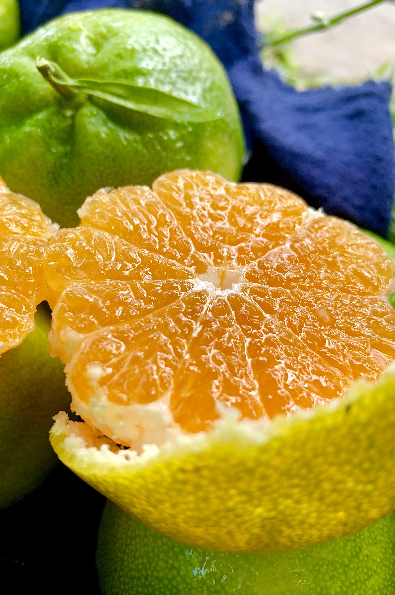 水果拍摄-云南华宁无籽蜜桔