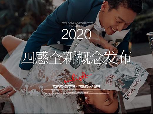 四感全新概念分布