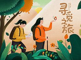 寻觅之旅
