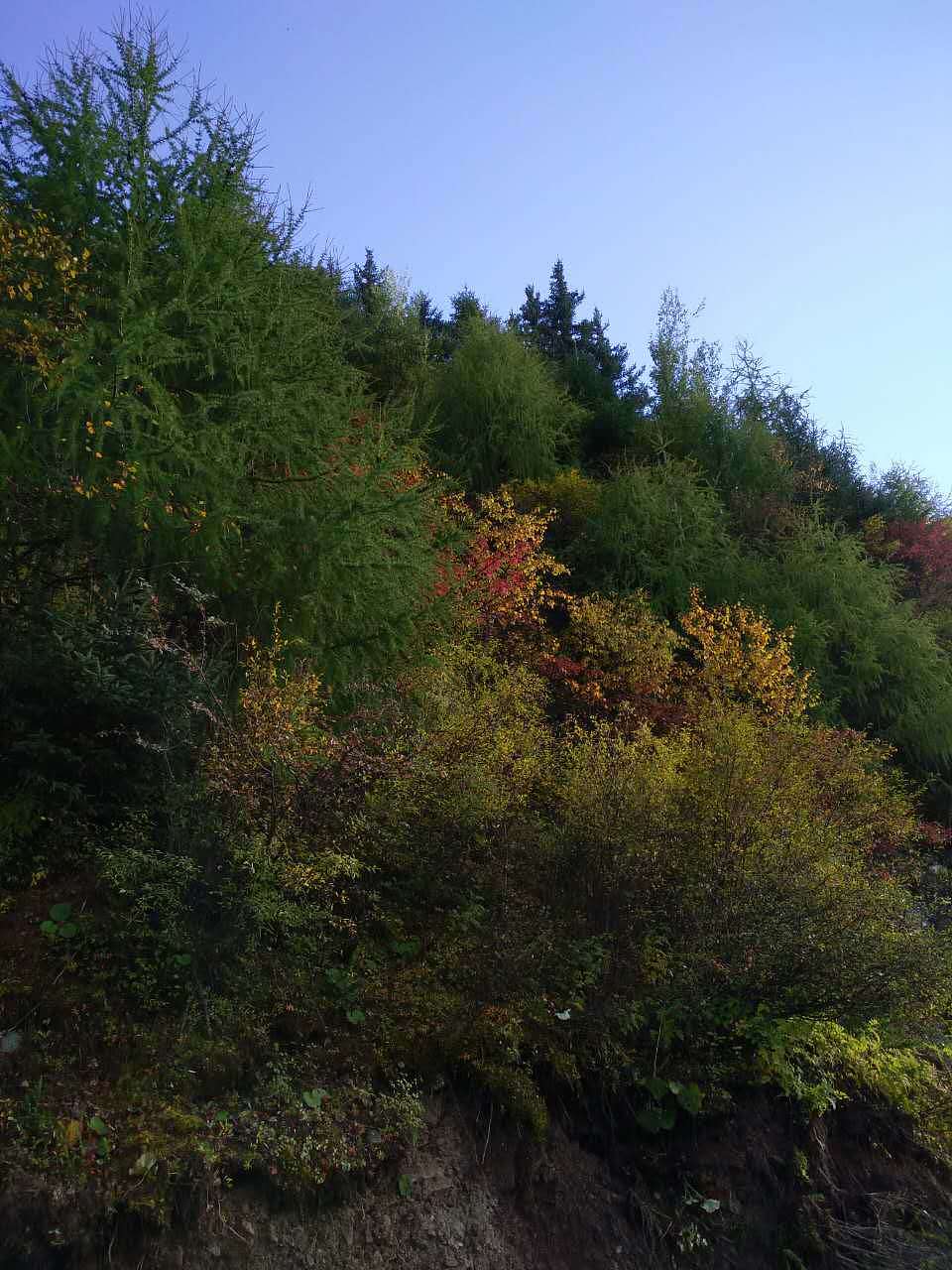 大美川西，康定、甘孜、雅安、汶川、若尔盖高原草原、红原黄河第一湾，全手机拍摄！（图ZNjg5NDM0ODA=） - 风光摄影 - 站酷设计师tclicoo原创素材 - 站酷ZCOOL