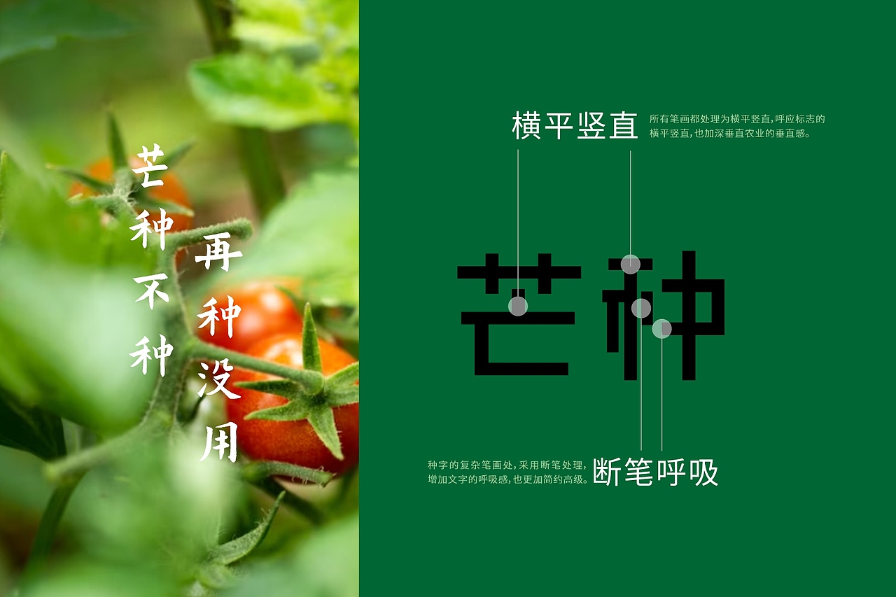 芒种字体图案标志设计 || 室内垂直农业LOGO设计