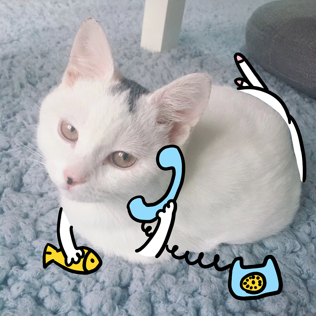 画猫——俺叫肉肉（图ZMTU2NjkzNDQ0） - 创作习作 - 站酷设计师自动喵喵机原创素材 - 站酷ZCOOL