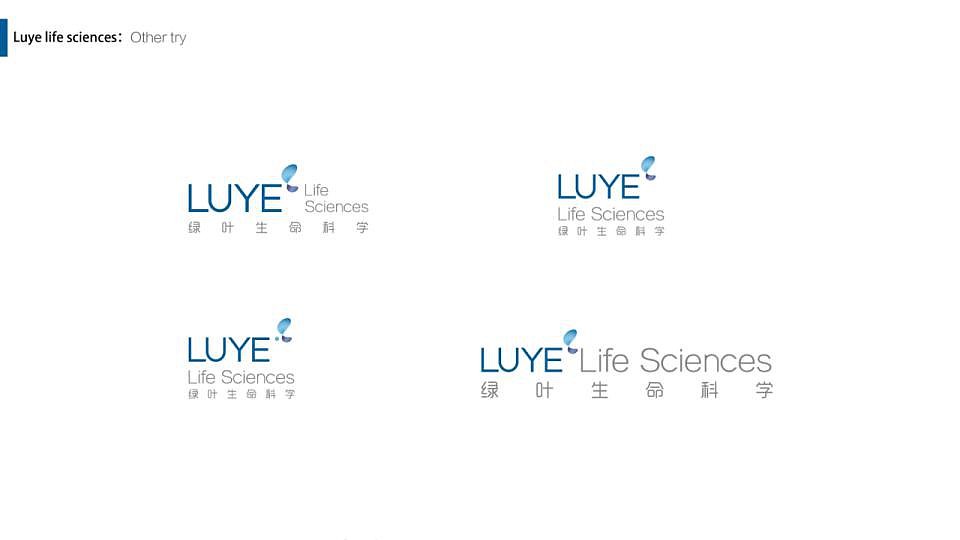 绿叶生命标志修改提案（图ZMjM2MDkwMDEy） - Logo - 站酷设计师许天博原创素材 - 站酷ZCOOL