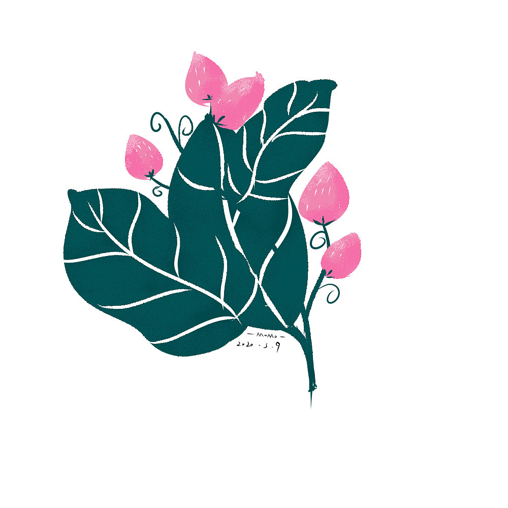 绿色小植物插画