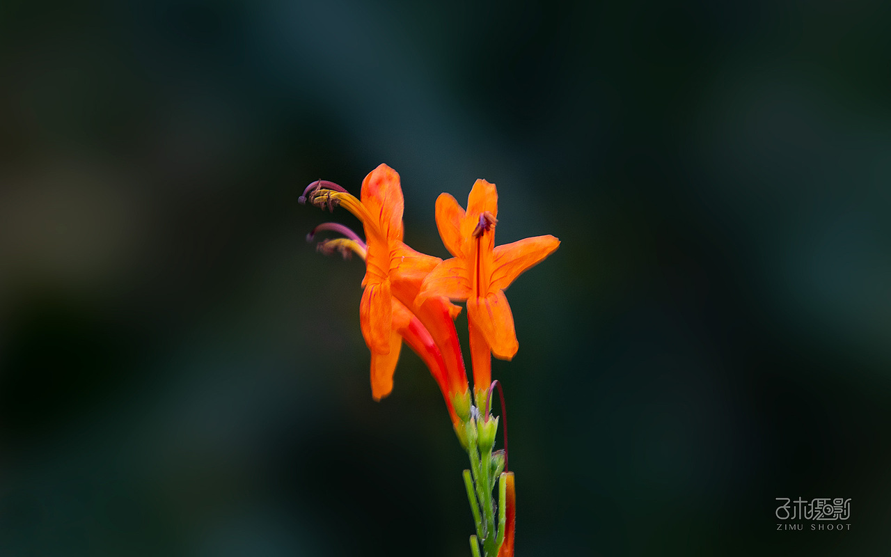 20191214青青世界