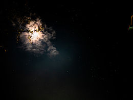 大晚上不睡觉搁外面拍星星