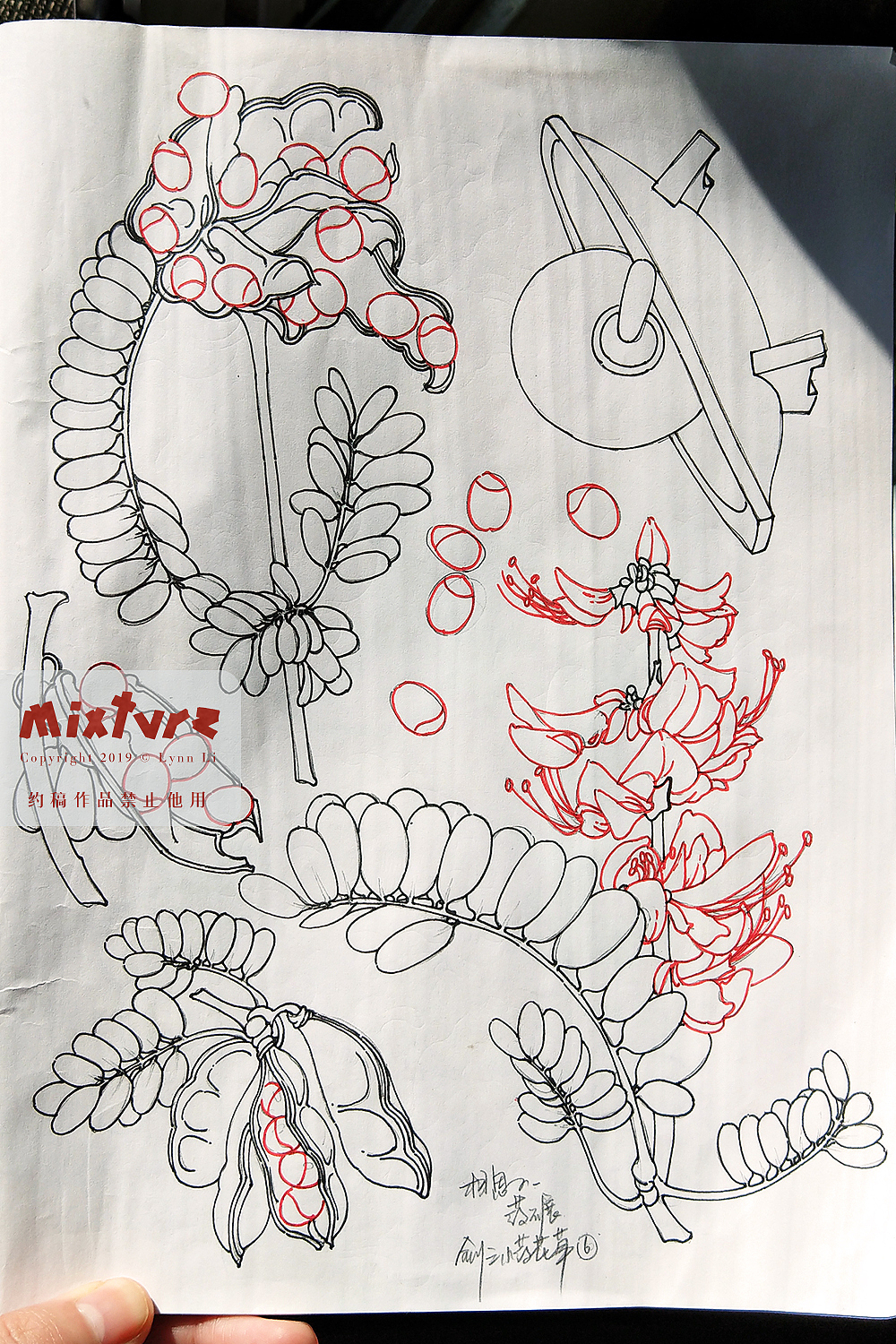 剑三药用花草&中药材炮制工具（图ZMTUyMDkxNDg0） - 商业插画 - 站酷设计师青霄不予原创素材 - 站酷ZCOOL