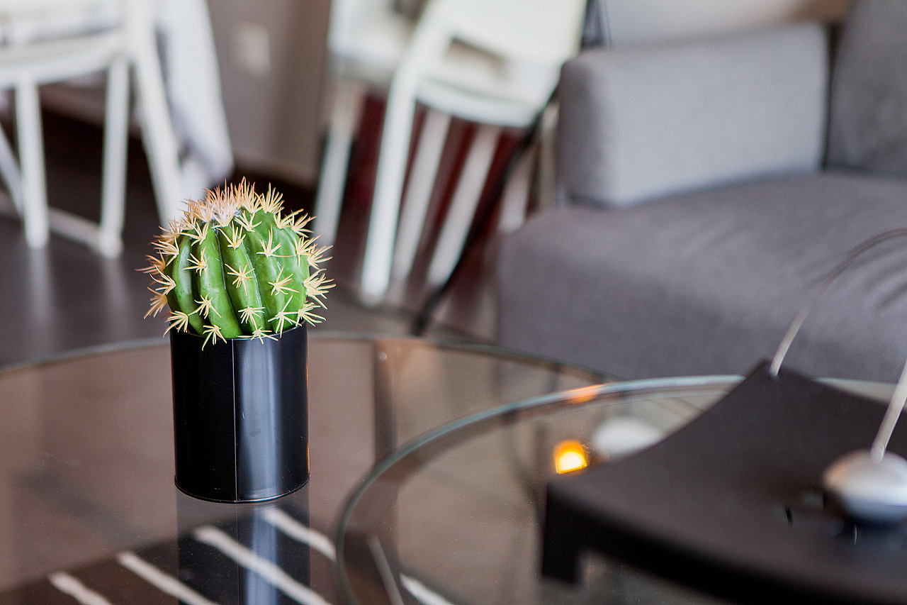 跟我回城市吧,再陪我一程