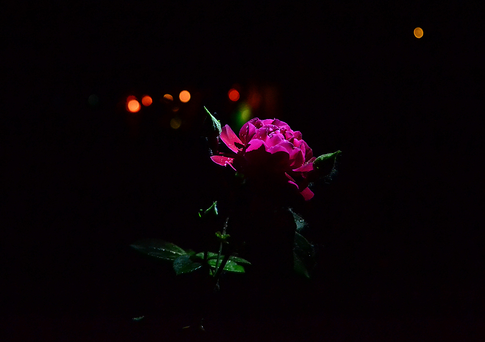 夜季之韵（图ZNDk2NjE0MDA=） - 风光摄影 - 站酷设计师CHEN佳原创素材 - 站酷ZCOOL