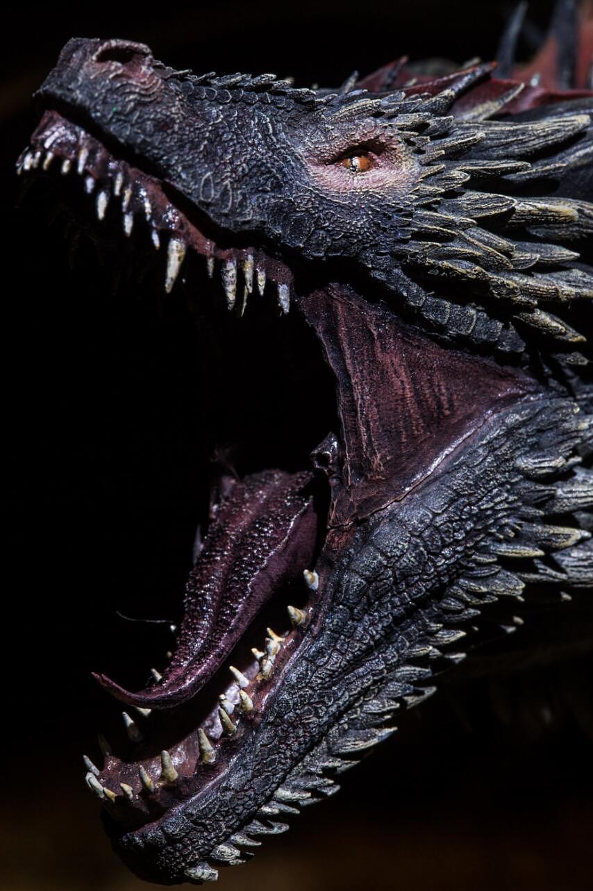 权利的游戏冰与火之歌卓耿龙模型手办雕像