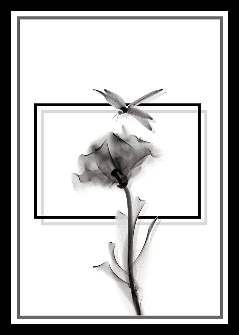 挂画设计 ▏室内装饰