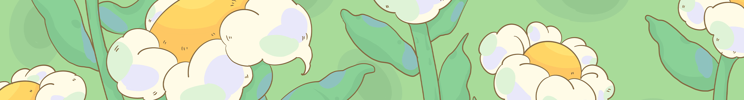 豆花本豆的个人主页（封面预览） - 主页封面设置 - 站酷设计师豆花本豆原创素材 - 站酷ZCOOL