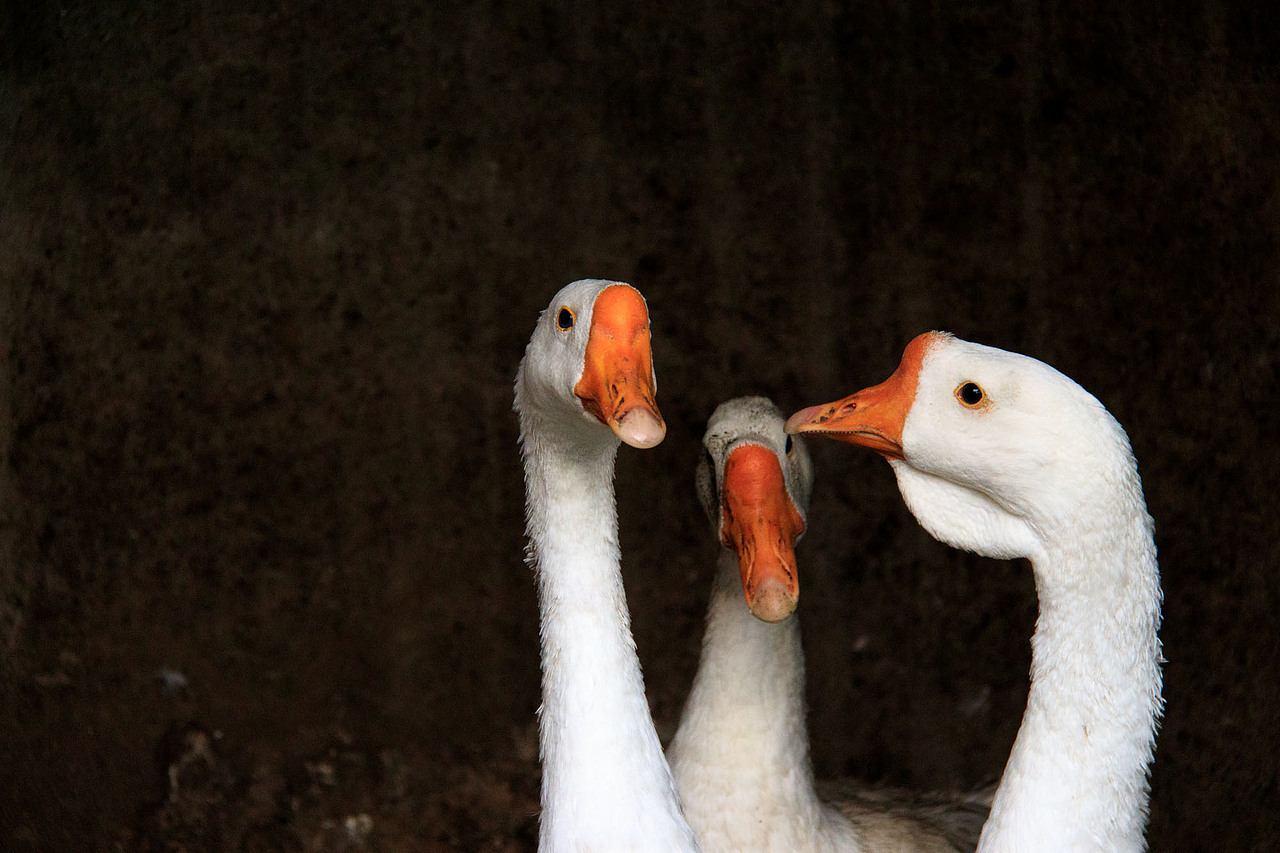 spiritual return of home 