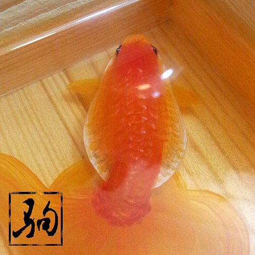 树脂画金鱼，5月6月作品一起发（图ZMTc2MDIxMzY=） - 其他手工艺 - 站酷设计师dfmchina原创素材 - 站酷ZCOOL