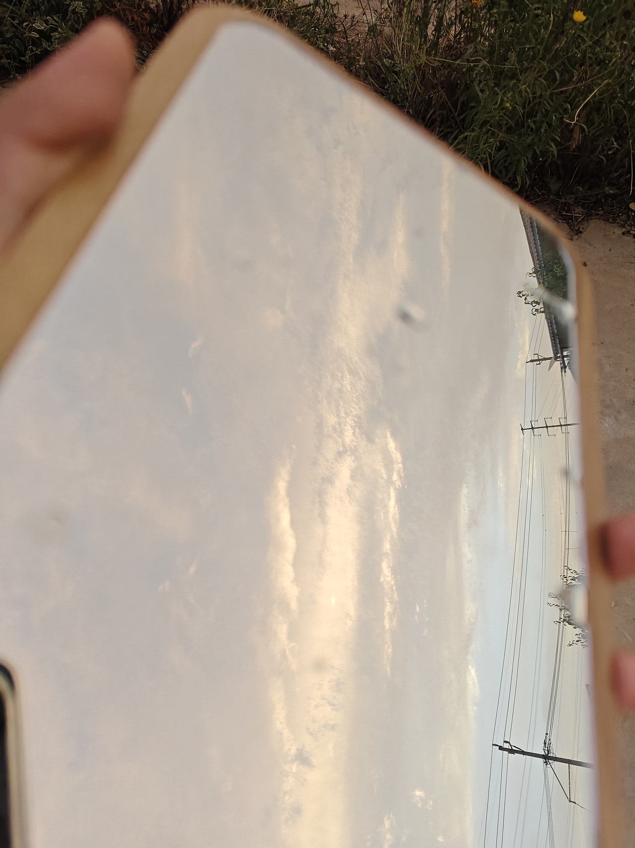 孤寂又喧嚣的人间