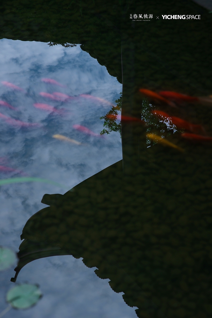 庭院 | 蓝城·春风桃园 | 空间摄影