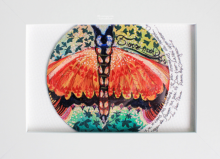 生命之翼（图ZNjk3NjU5MDA=） - 商业插画 - 站酷设计师lotuschueng原创素材 - 站酷ZCOOL