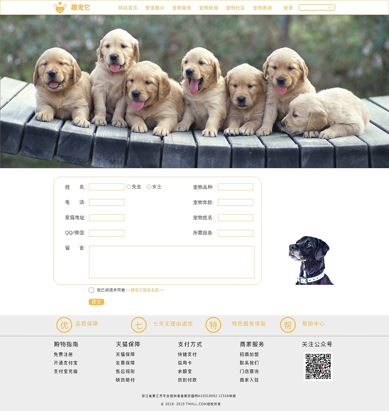 趣宠它网站（图ZMTgwMjUxNTAw） - 企业官网 - 站酷设计师马浩设计原创素材 - 站酷ZCOOL