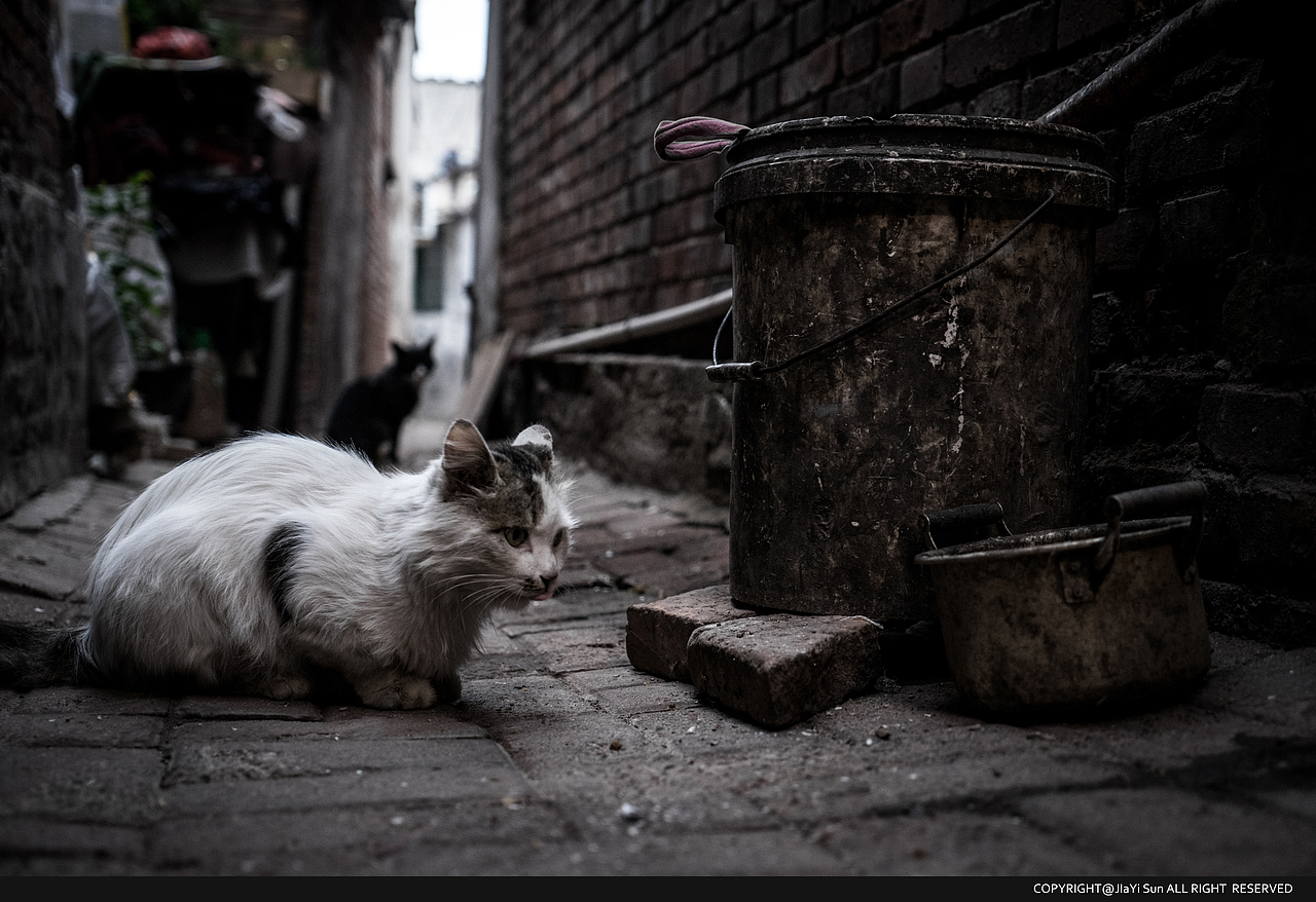 西于庄随拍（图ZODQwOTc5NDA=） - 人文/纪实摄影 - 站酷设计师伦敦以西原创素材 - 站酷ZCOOL