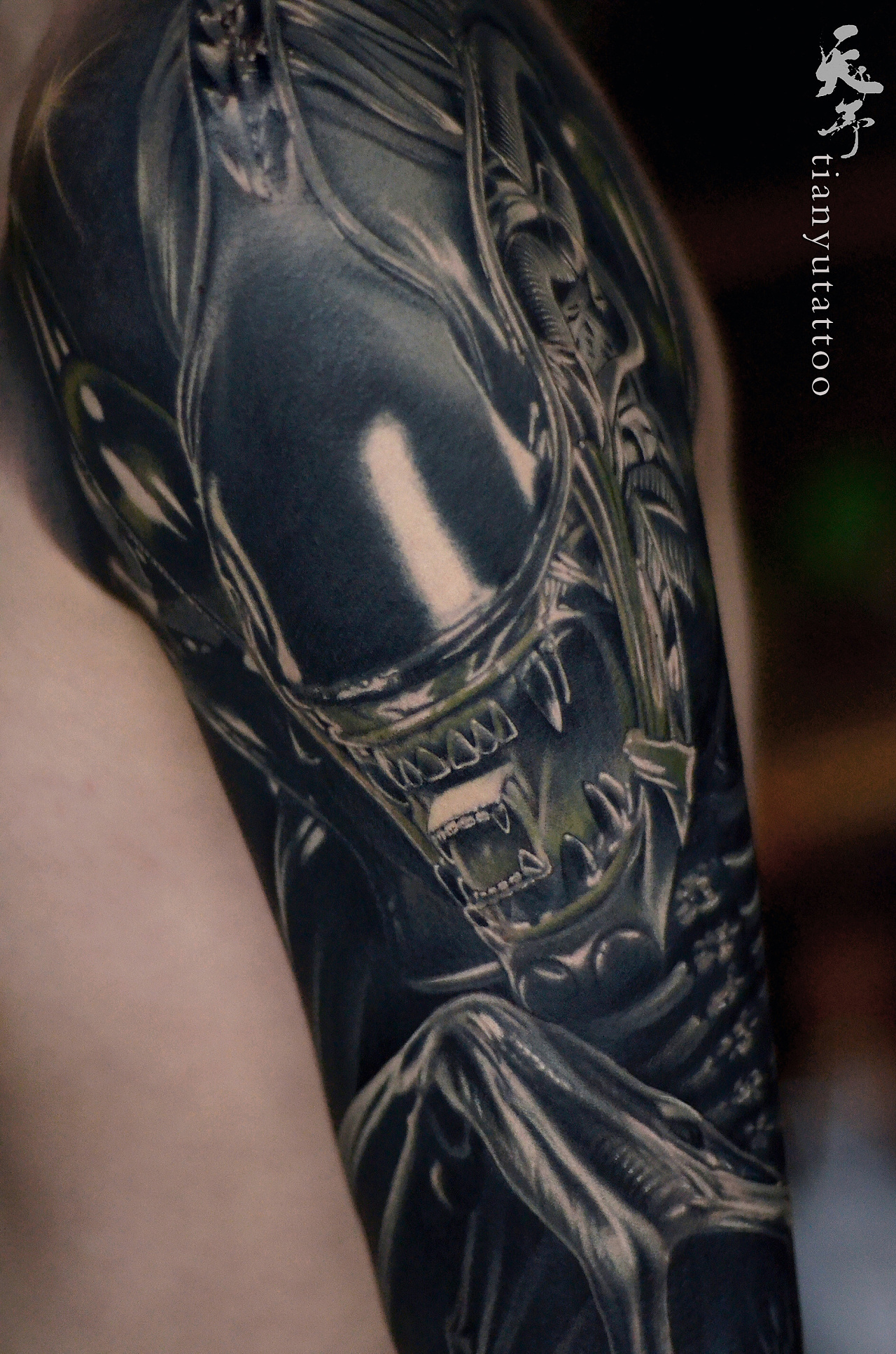 写实作品《异形》完成 (天予刺青·彦伊作品)