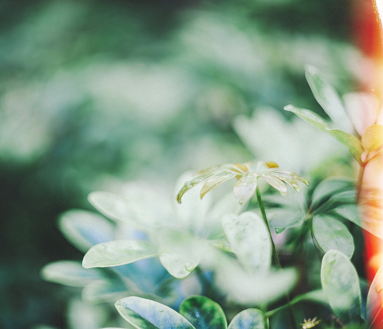 生活处处是美好 ​​​（图ZMTQ4OTY4MzI0） - 产品摄影 - 站酷设计师小正兔子原创素材 - 站酷ZCOOL