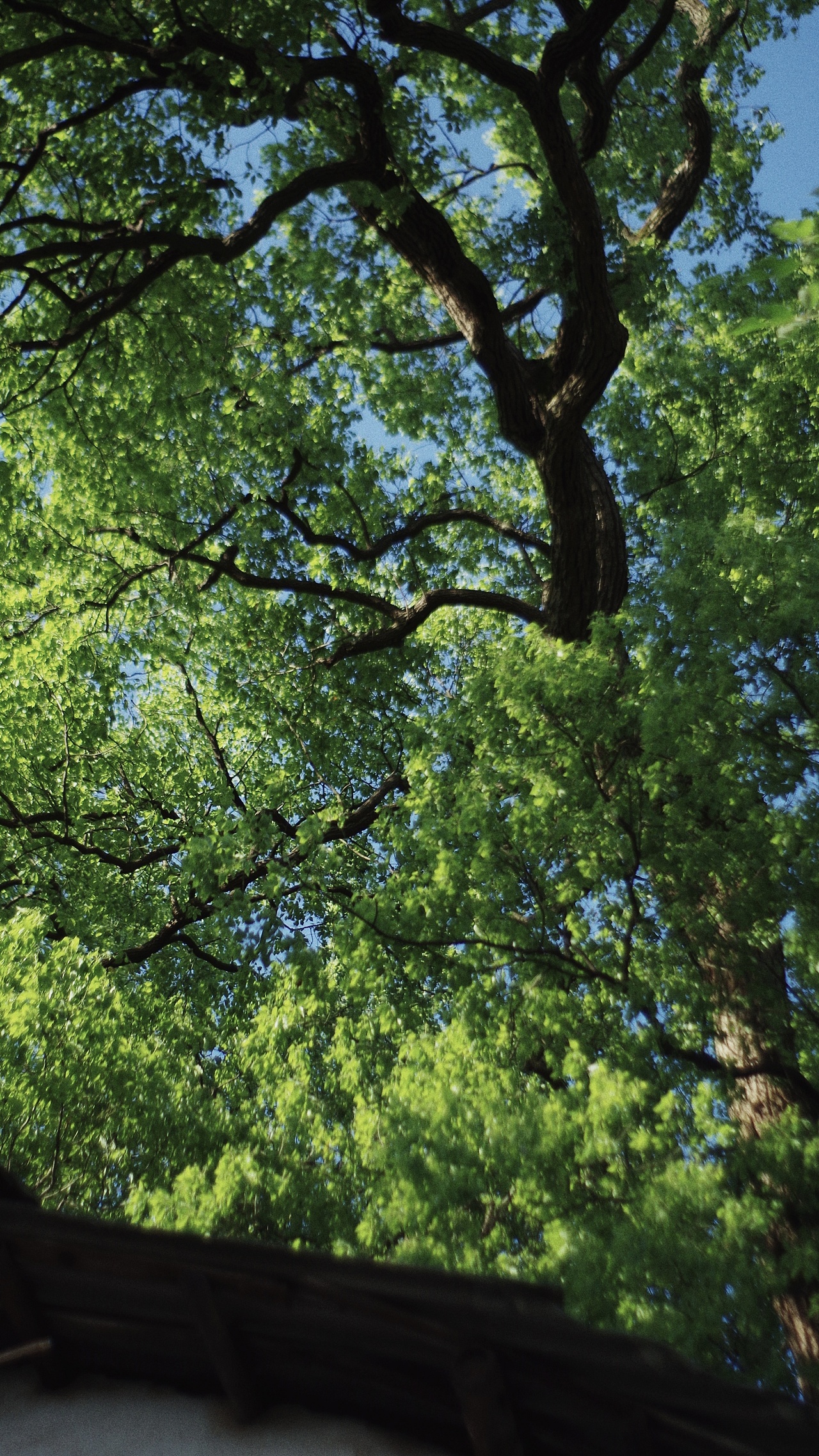 铜官窑（图ZMTU0ODY4NDg4） - 风光摄影 - 站酷设计师你哈哦原创素材 - 站酷ZCOOL