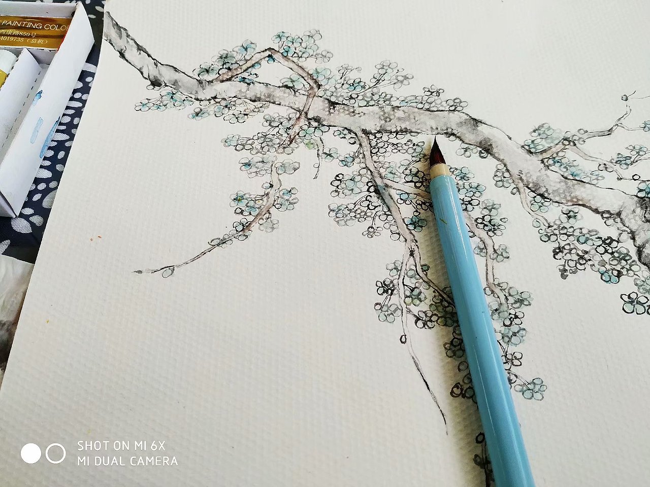 花开花落,云卷云舒。——插画手绘练习