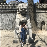 panda盼68的头像