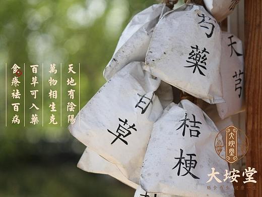 大垵堂中医养生馆品牌全案策划设计