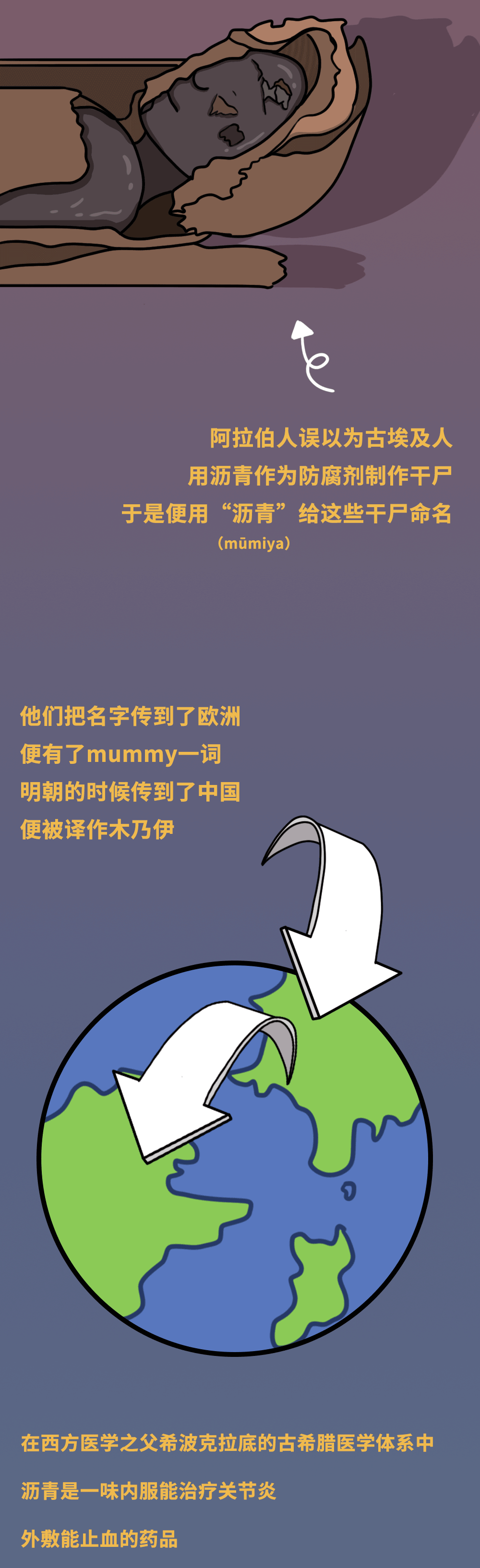 科普系列《木乃伊》-SME（图ZMjM4MzM0NjUy） - 商业插画 - 站酷设计师森给热原创素材 - 站酷ZCOOL