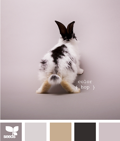 美丽的配色卡啊——04