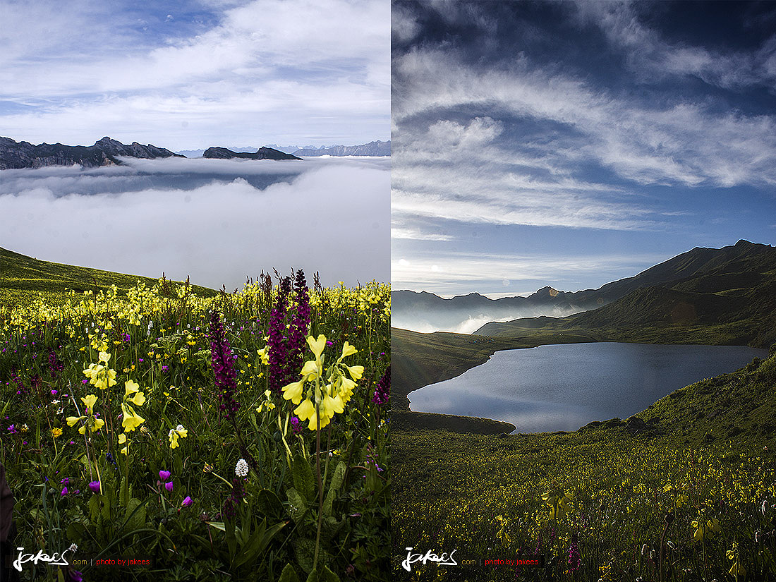 从黑龙潭往鸡公梁子走,一片儿一片儿的花海,云海也逐渐开始显现