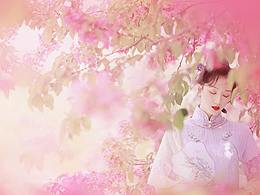 一花一世界