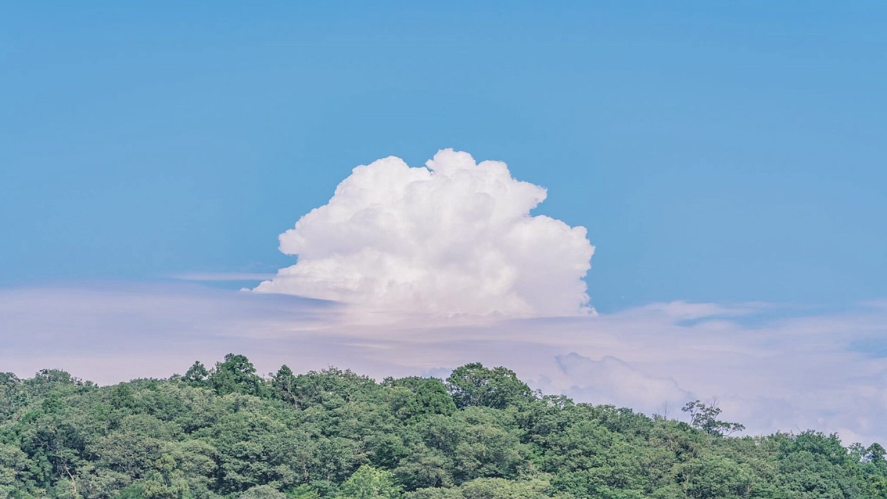 清新唯美风景高清动态壁纸|其他|其他|mac开心 - 原创作品 - 站酷