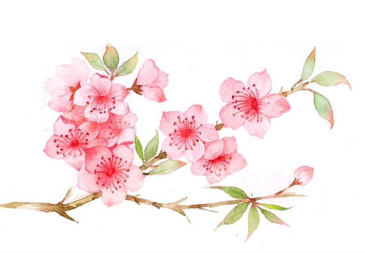 古风素材（图ZMTQ3Nzk5OTIw） - 商业插画 - 站酷设计师鸿飛插画原创素材 - 站酷ZCOOL