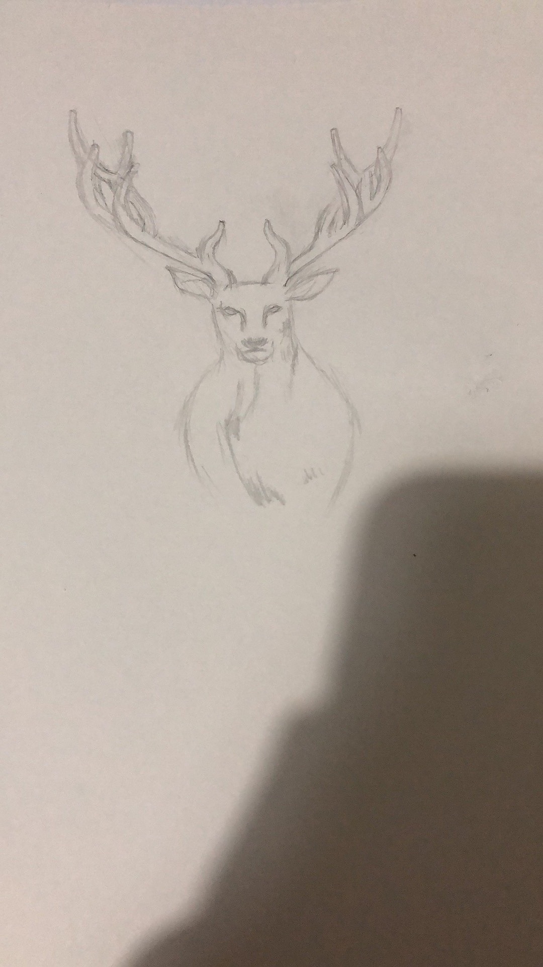 手绘-鹿（图ZMTU3MTMwNTQ4） - 绘本 - 站酷设计师竹楼听雪原创素材 - 站酷ZCOOL