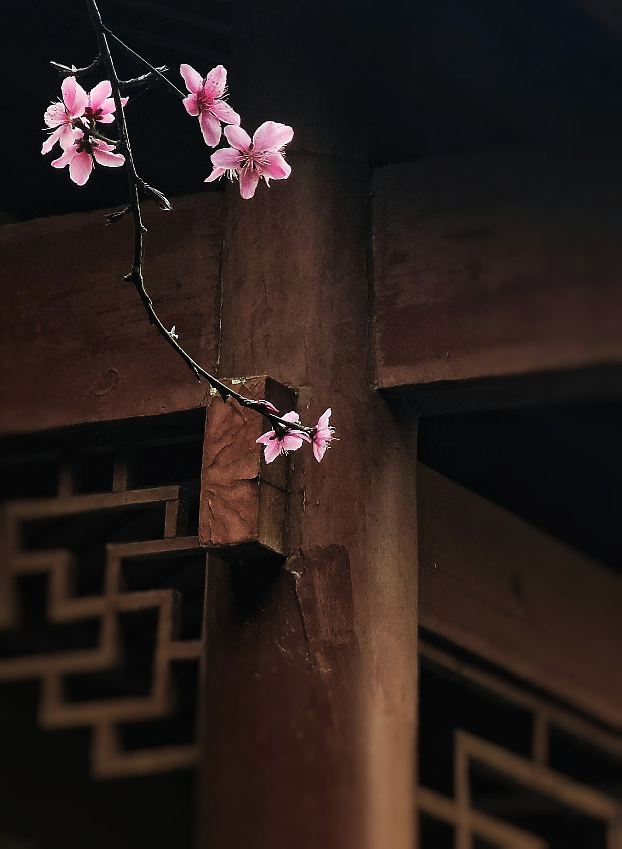 摄摄影（图ZMjkyMjU4MDAw） - 风光摄影 - 站酷设计师Z97362566原创素材 - 站酷ZCOOL