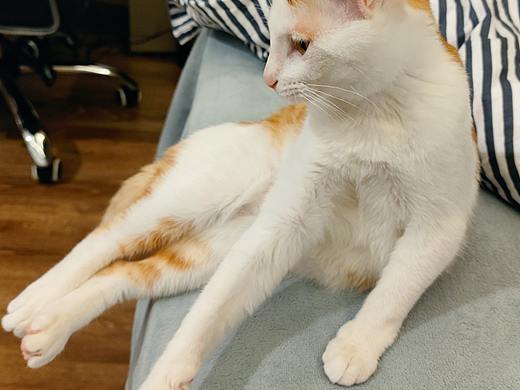 不良人（个人主页-ZNTUxMjM4NzY=） - IP形象 - 站酷设计师茯FU苓原创素材 - 站酷ZCOOL