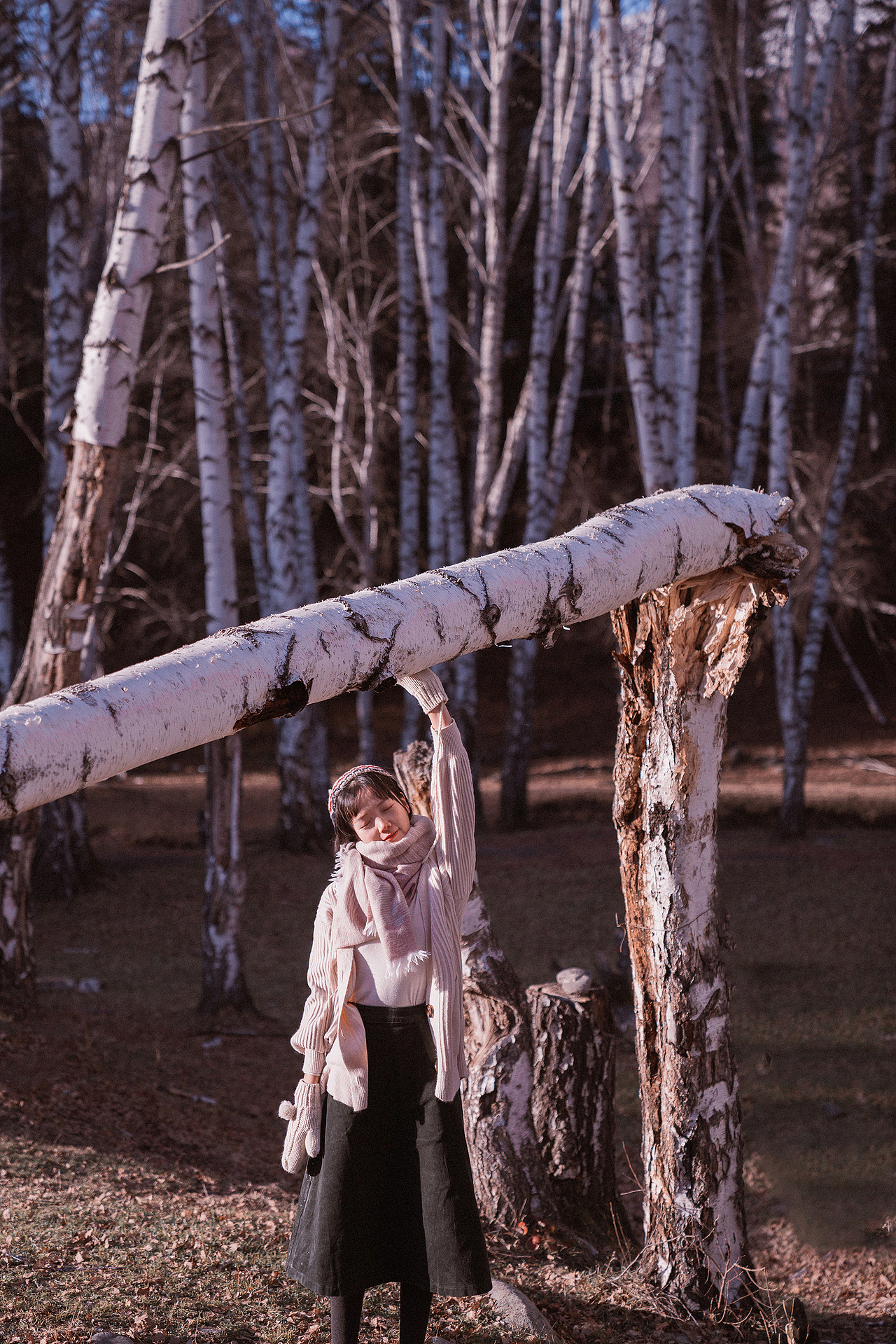 白桦林（和自己有关的故事）