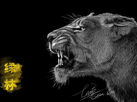 动物插画《绿林》系列