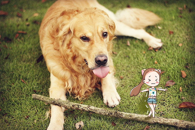 金大傻——啊呜（图ZNjUzMTIzNjA=） - 创作习作 - 站酷设计师爱画画的米小芽原创素材 - 站酷ZCOOL