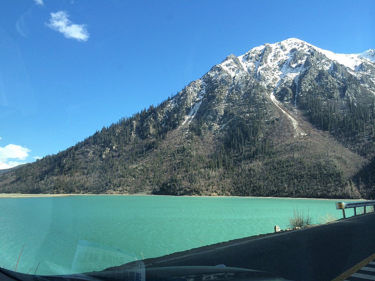 为什么水那么绿尼(⊙o⊙)?