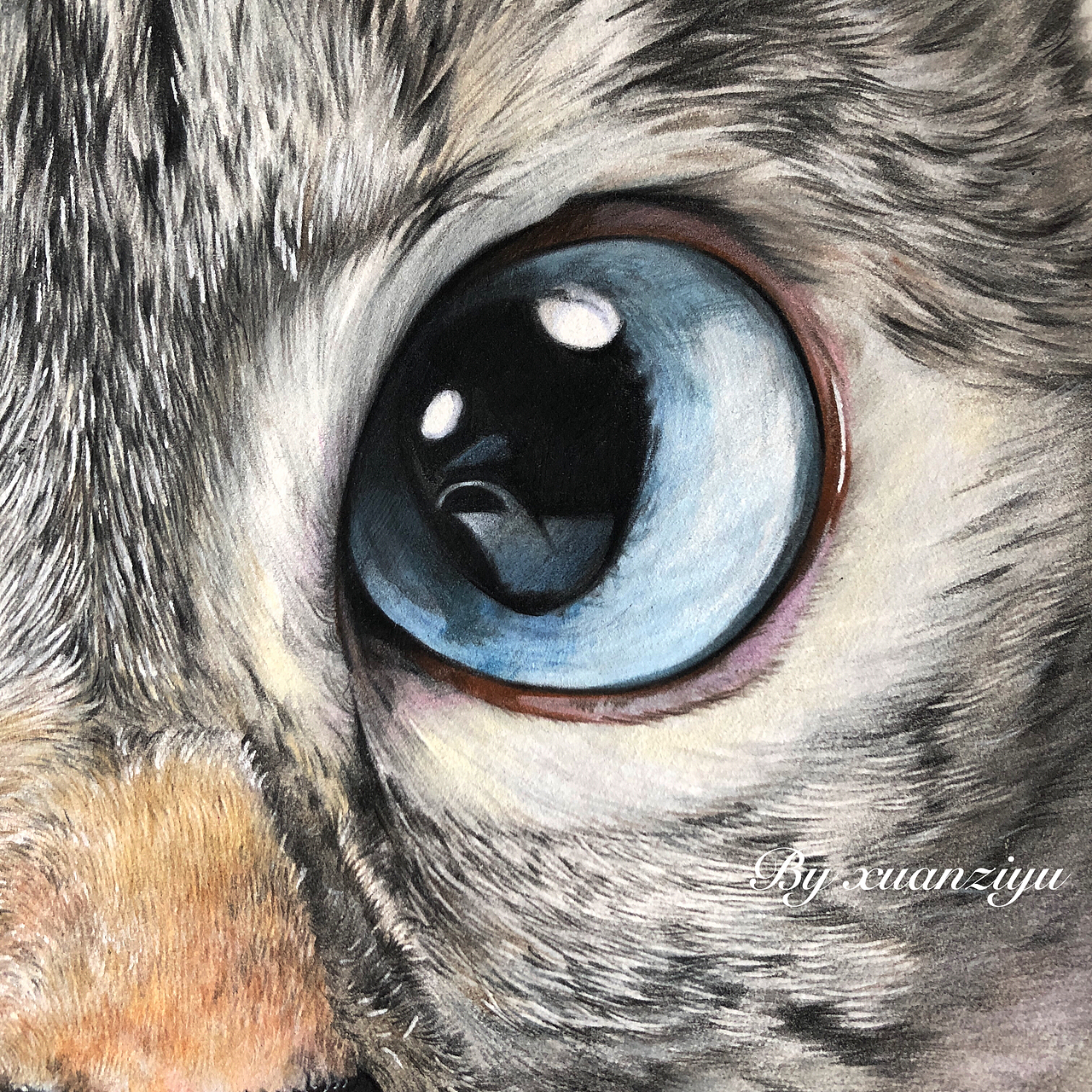 nala猫2（图ZMTA2ODk0Mjc2） - 绘画 - 站酷设计师璇子鱼原创素材 - 站酷ZCOOL