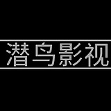 潜鸟影视的头像