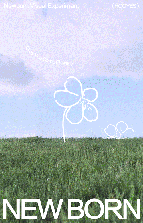 NEW BORN 在地新生 | 展览视觉