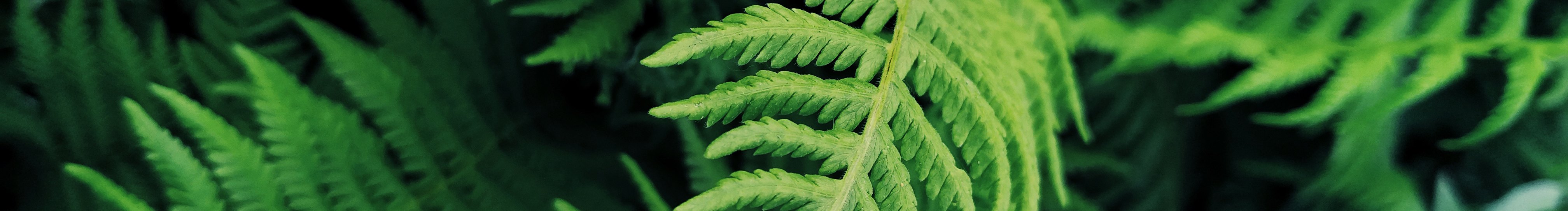 骆小洛的世界的个人主页（封面预览） - 主页封面设置 - 站酷设计师骆小洛的世界原创素材 - 站酷ZCOOL